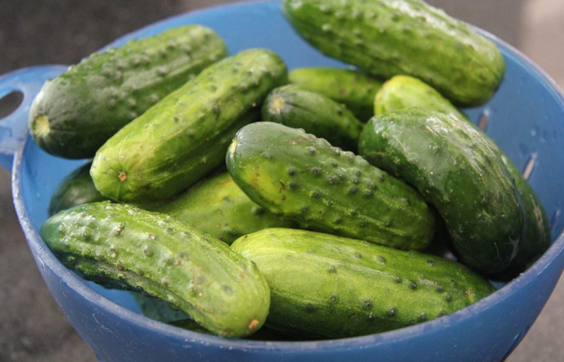 Pickles.jpg